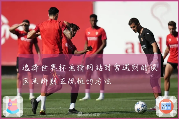 选择世界杯竞猜网站时常遇到的误区及辨别正规性的方法