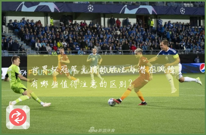 世界杯冠军竞猜的玩法与潜在风险有哪些值得注意的区别?
